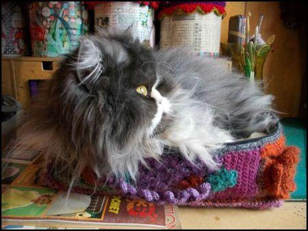 Une granny-valisette ! frou 3