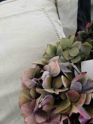 AUTOMNE ...
L'été s'en est allé ...
&n... DSCF9974