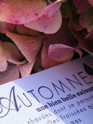 AUTOMNE ...
L'été s'en est allé ...
&n... DSCF9921b