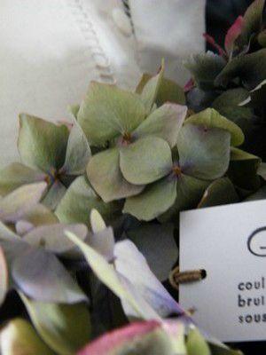 AUTOMNE ...
L'été s'en est allé ...
&n... DSCF9972