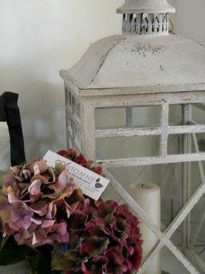 AUTOMNE ...
L'été s'en est allé ...
&n... DSCF9925b