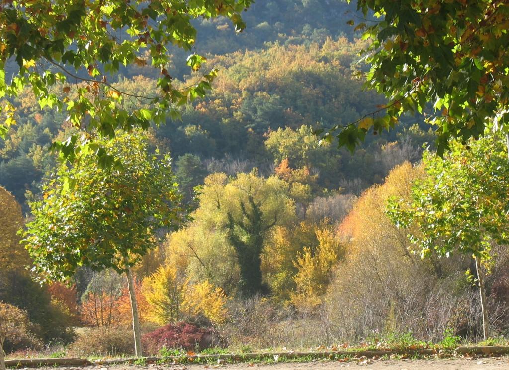 Photo 008 C’est l’automne