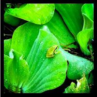 PHOTO DE LA SEMAINE #34 (Une juge-mystère très spéciale inside ;-)) PHOTO DE LA SEMAINE #34 (Une juge-mystère très spéciale inside ;-))