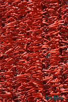 PHOTO DE LA SEMAINE #34 (Une juge-mystère très spéciale inside ;-)) PHOTO DE LA SEMAINE #34 (Une juge-mystère très spéciale inside ;-))