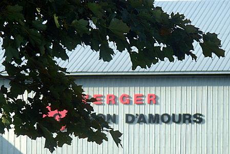 Pom-pom-pi-dou DSC00420