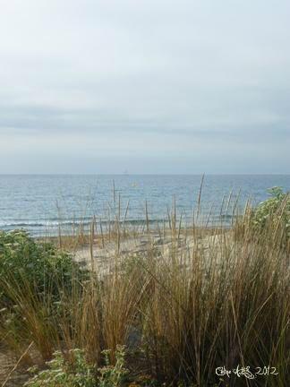 LES PHOTOS DU JEU 4 ANS DE BLOG CELINE