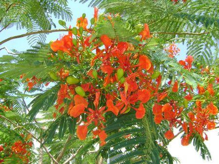 LES PHOTOS DU JEU 4 ANS DE BLOG CRIQUETTE