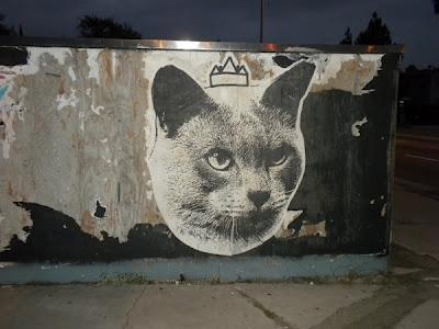 Street Cat  //