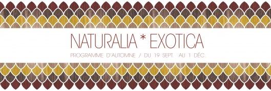 NaturaliaExotica Un cabinet de curiosité chez Sew