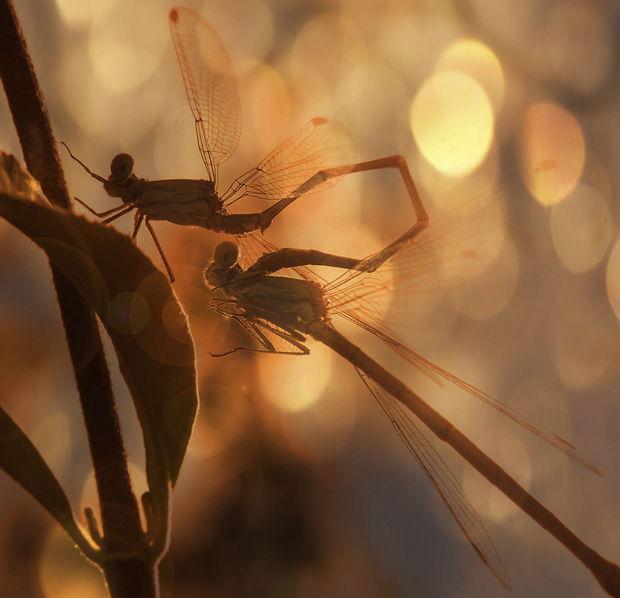 Sélection Pixfan 500px #48 Patrick Strik