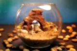 Des terrariums Star Wars Des terrariums Star Wars
