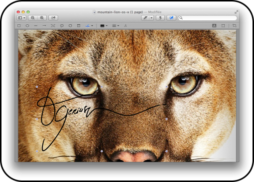 OGenius signature2 Les meilleures astuces d’OS X Mountain Lion