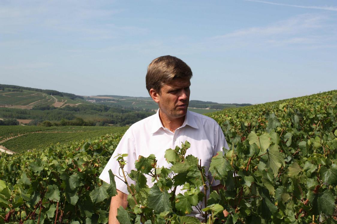 Frédéric Drouhin dans les vignobles Vaudésir