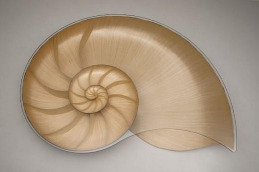 Marc Fish Nautilus 04 La Table Nautilus – Marc Fish