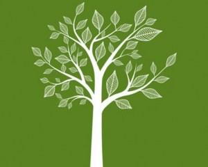 Arbre Vous reprendrez bien un chti peu de maturité ?