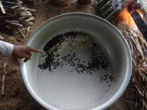 Cambodgetour gâteau riz bambou Riz au bambou