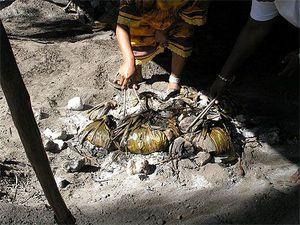 Ce qu'il advint du sauvage blanc - François GARDE bougnat
