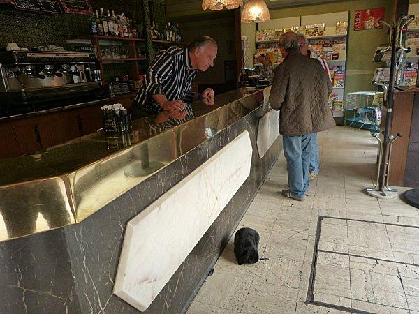 marius = un oryctolagus cuniculus hors du commun........ P1160681--2-.jpg