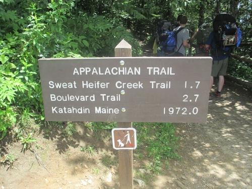 800px-Appalachian_Trail_at_Newfound_Gap_IMG_5137.jpg