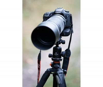 Test-Sigma-120-300mm-28 Test : l’objectif Sigma 120-300mm f/2.8 DG EX OS HSM sur le terrain