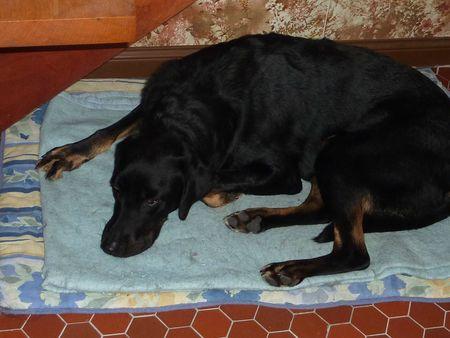 Faut partager son lit ! P1110757