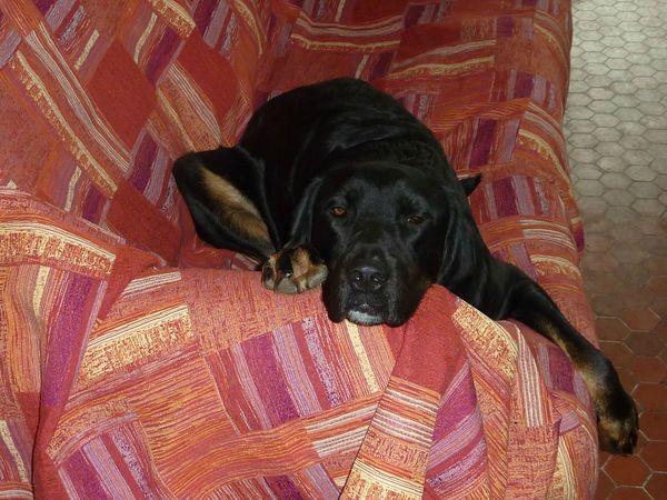 Faut partager son lit ! P1110742