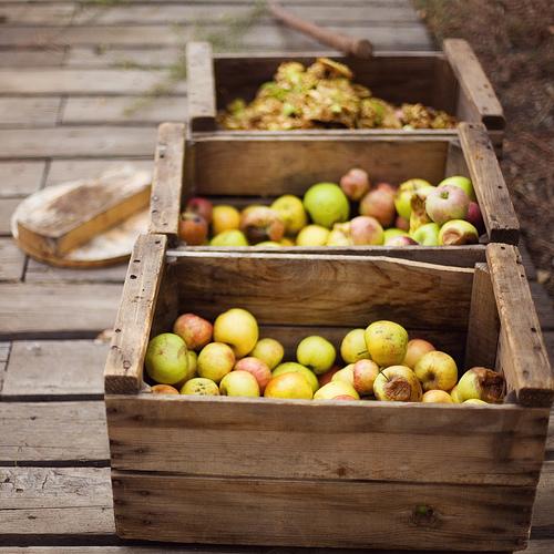 C’est la saison des pommes en ce moment !
Une...