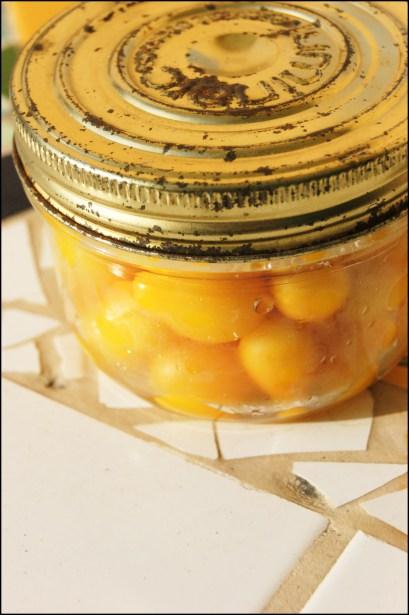 SONY DSC Tomates cerises stérillisées