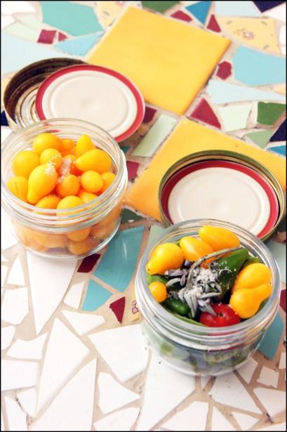 SONY DSC Tomates cerises stérillisées