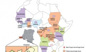 FIÈVRE HÉMORRAGIQUE: Identification d’un nouveau virus mortel en Afrique – IRD et PLoS Pathogens