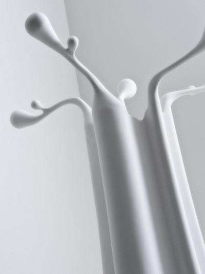 CHACUN SON BAOBAB PAR XAVIER LUST Flashback Design 146