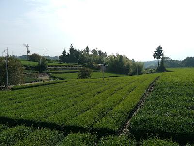 Au Centre de Recherche de Kanaya Au Centre de Recherche de Kanaya