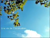 PHOTO DE LA SEMAINE #35 (une première inside!!!) PHOTO DE LA SEMAINE #35 (une première inside!!!)