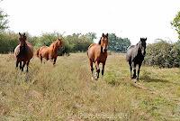 PHOTO DE LA SEMAINE #35 (une première inside!!!) PHOTO DE LA SEMAINE #35 (une première inside!!!)