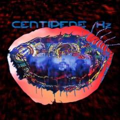 Animal-Collective-Centipede-Hz-e1340167815339.jpg