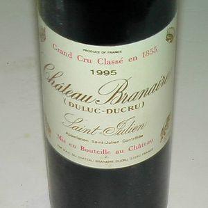 Le Médoc fait ploc.... branaire ducru 1995 003