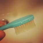 06 Challenge Photo : PhotoADaySeptember