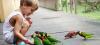 Ecologie : le 7 octobre, le chalet de Clichy-sous-Bois vous ouvre ses portes Idées week-end : visiter un parc animalier respectueux de l'environnement