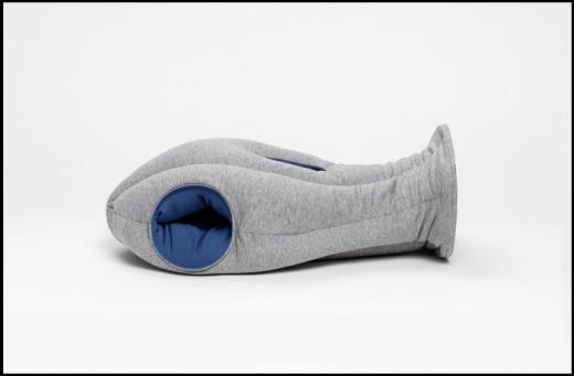 Oreiller Autruche 05 L’Oreiller Autruche – Studio KG