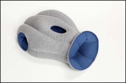 Oreiller Autruche 06 L’Oreiller Autruche – Studio KG