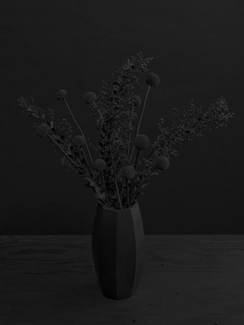 PageImage-482770-3139771-flora306 Photographies : Corolla