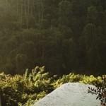 Ubud Hanging Gardens (Bali, Indonésie) Ubud Hanging Gardens (Bali, Indonésie)