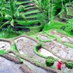 Ubud Hanging Gardens (Bali, Indonésie) Ubud Hanging Gardens (Bali, Indonésie)