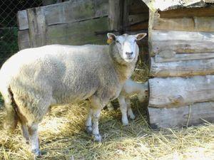 Retour de week-end car8