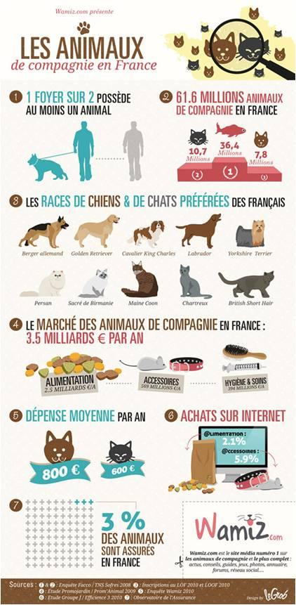 infographie wamiz AnimO sur Orange : du brandcontent vraiment pas bête