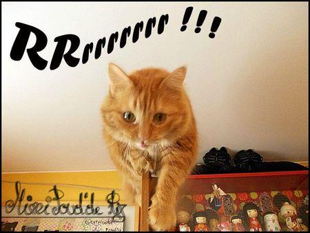 Casse bonbon !! tome 2 ^^ DSCN0359