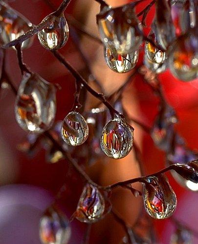 La pluie créatrice de bijoux... pluie-2.jpg