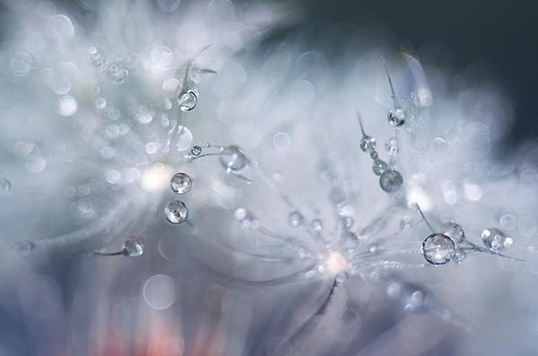 La pluie créatrice de bijoux... pluie-4.jpg