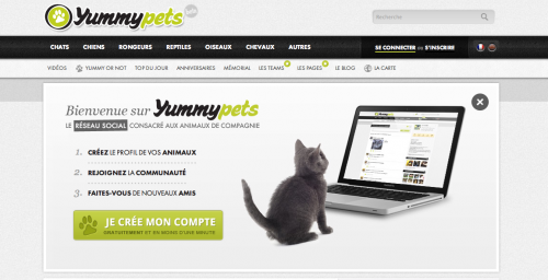 Capture d’écran 2012-10-04 à 01.29.09 Un réseau social pour les animaux