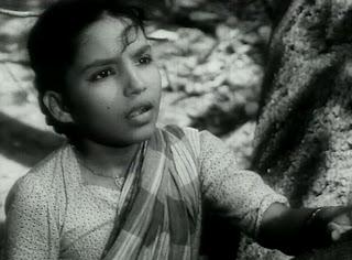 C'est dans quoi ? Photo 71 C'est dans quoi ? Photo 71